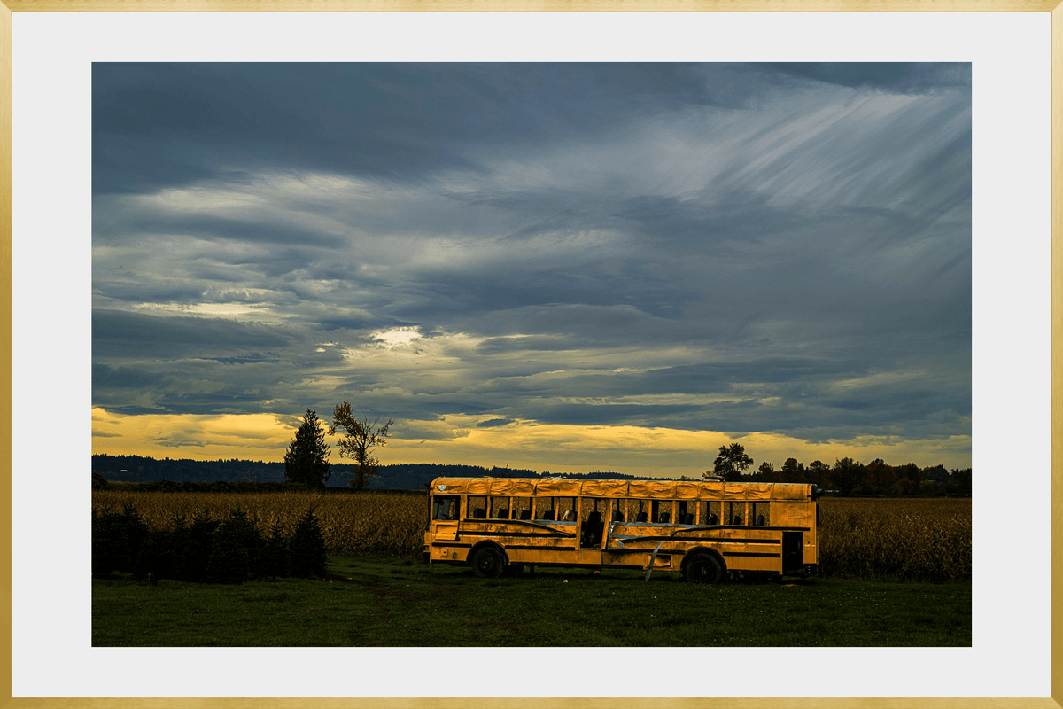 DATU 00_31 photographic print shown in a Gold Premium Metal frame with a white mat.