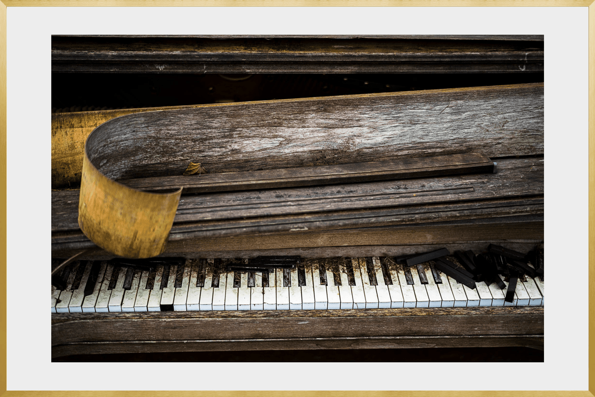 DATU 00_34 photographic print shown in a Gold Premium Metal frame with a white mat.