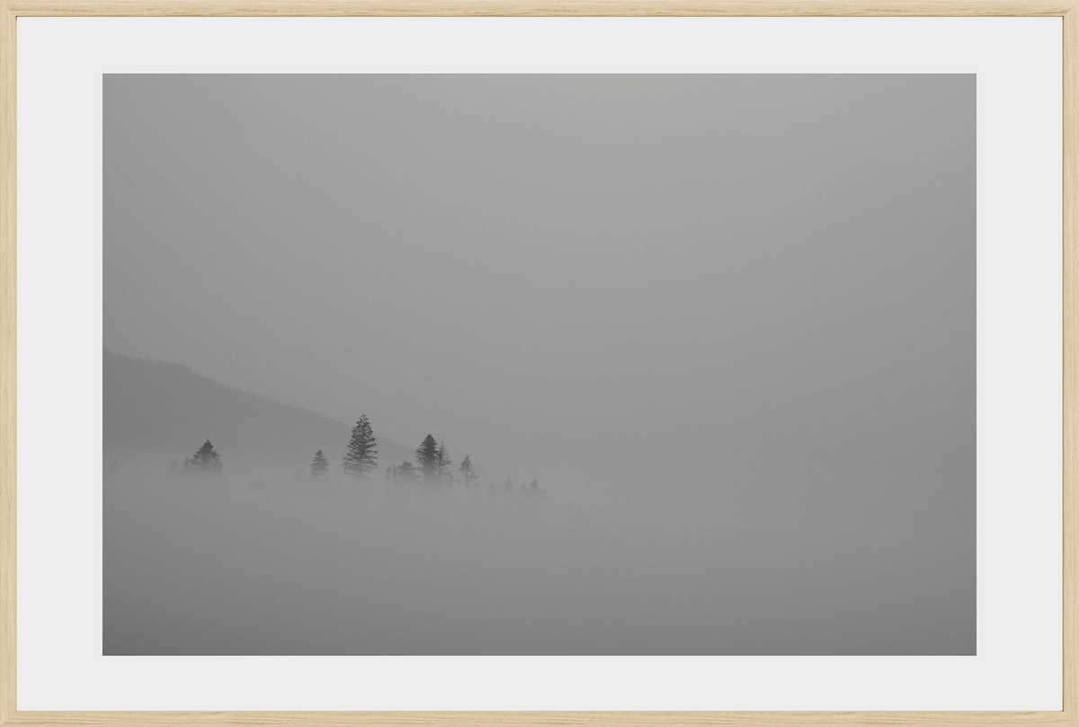 DATU 00_41 photographic print shown in a Natural Premium Oak frame with a white mat.