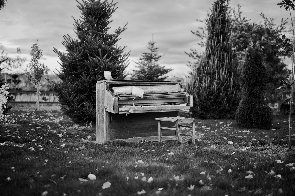 00_32 by Nick Patterson. An outdoor piano and chair among evergreen trees, photographed in black and white.