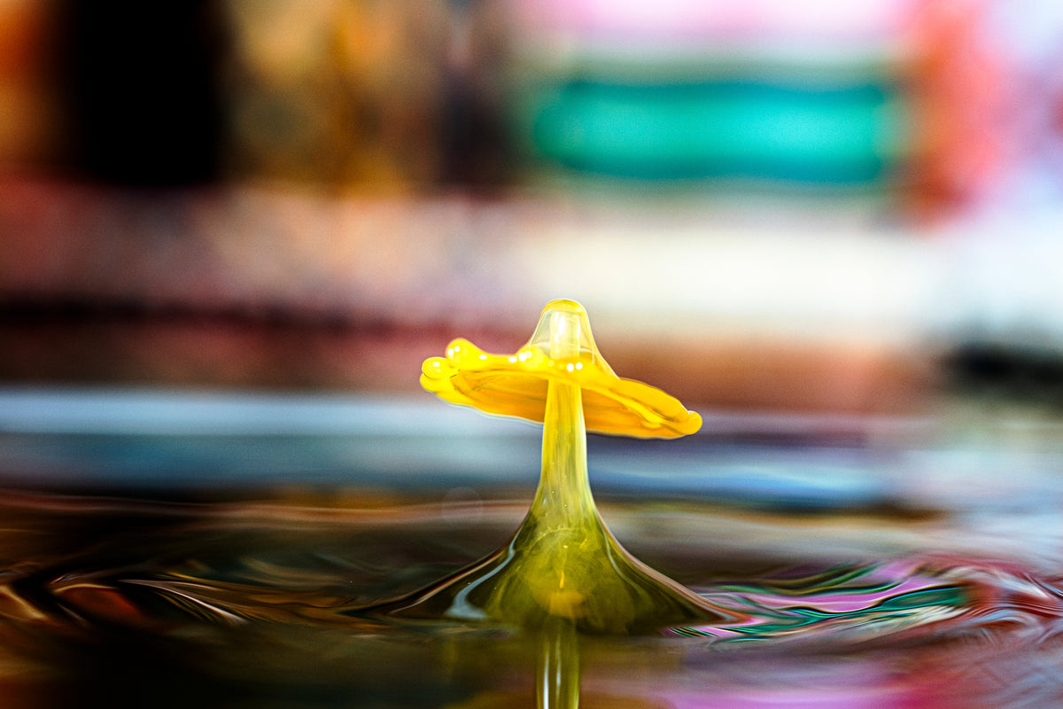 00_16 by Nick Patterson. A yellow liquid splash and its reflection, surrounded by ripples.