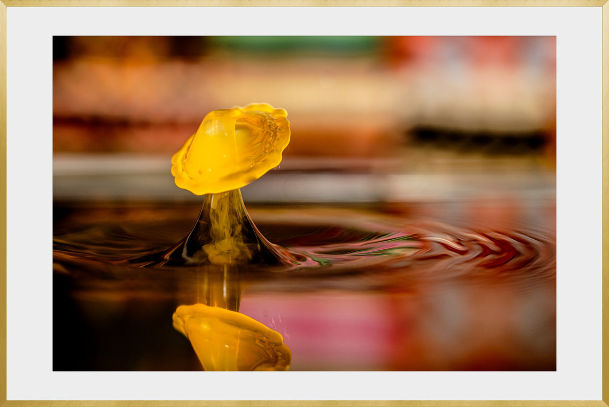 DATU 00_08 photographic print shown in a Gold Premium Metal frame with a white mat.