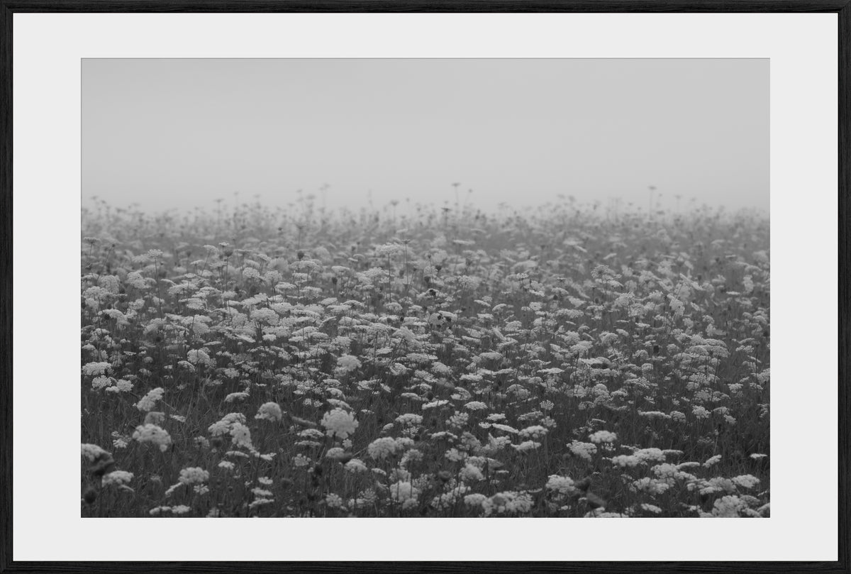 DATU 00_15 photographic print shown in a Black Premium Oak frame with a white mat.