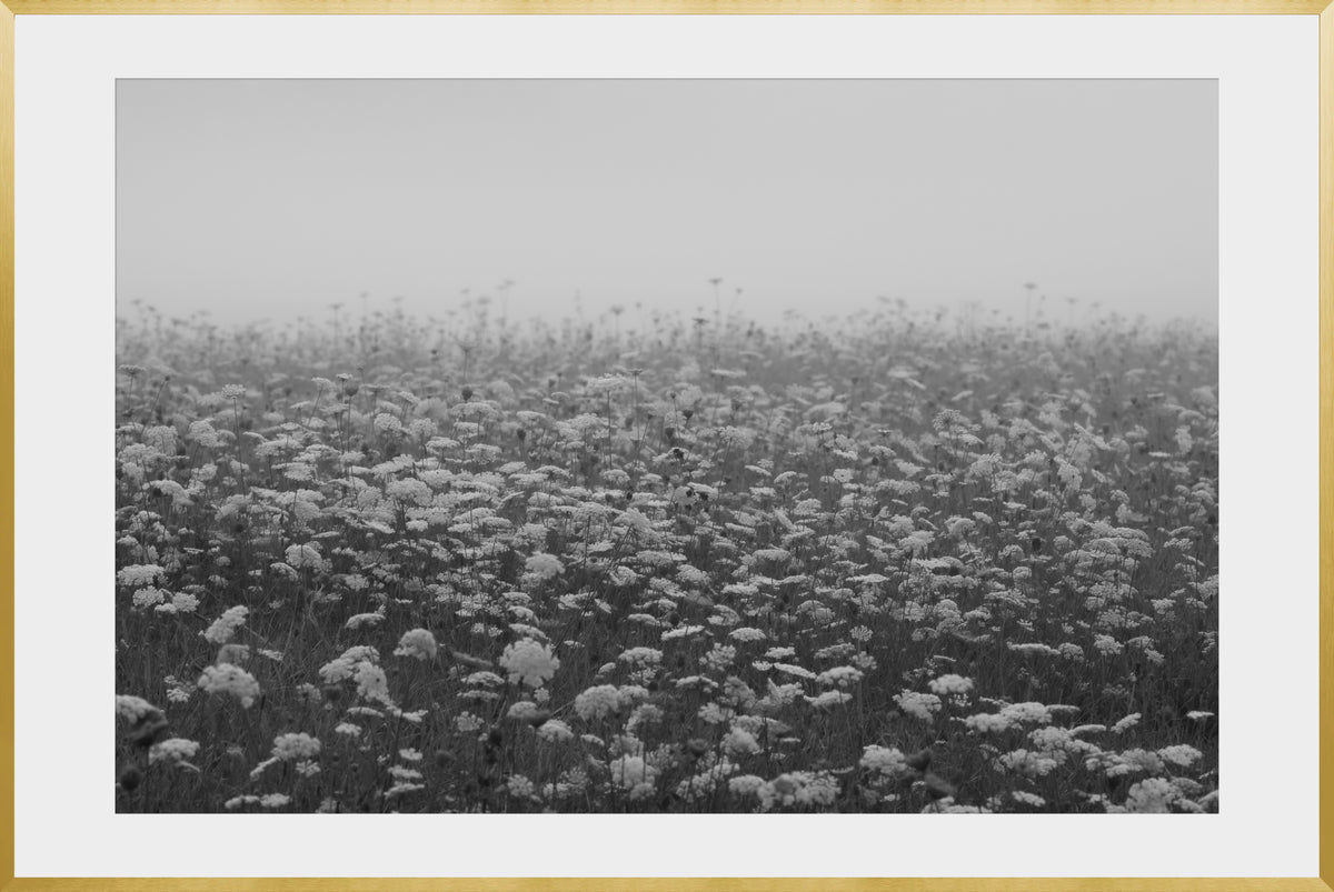 DATU 00_15 photographic print shown in a Gold Premium Metal frame with a white mat.