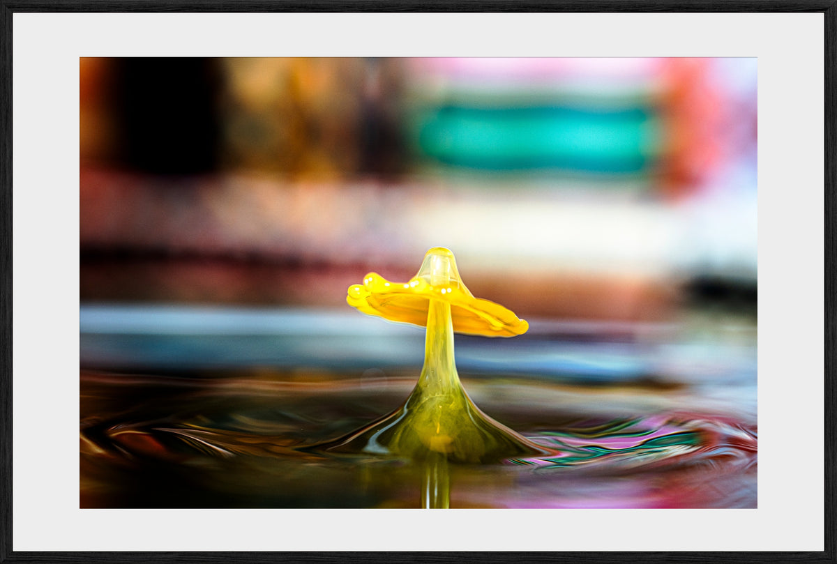 DATU 00_16 photographic print shown in a Black Premium Oak frame with a white mat.