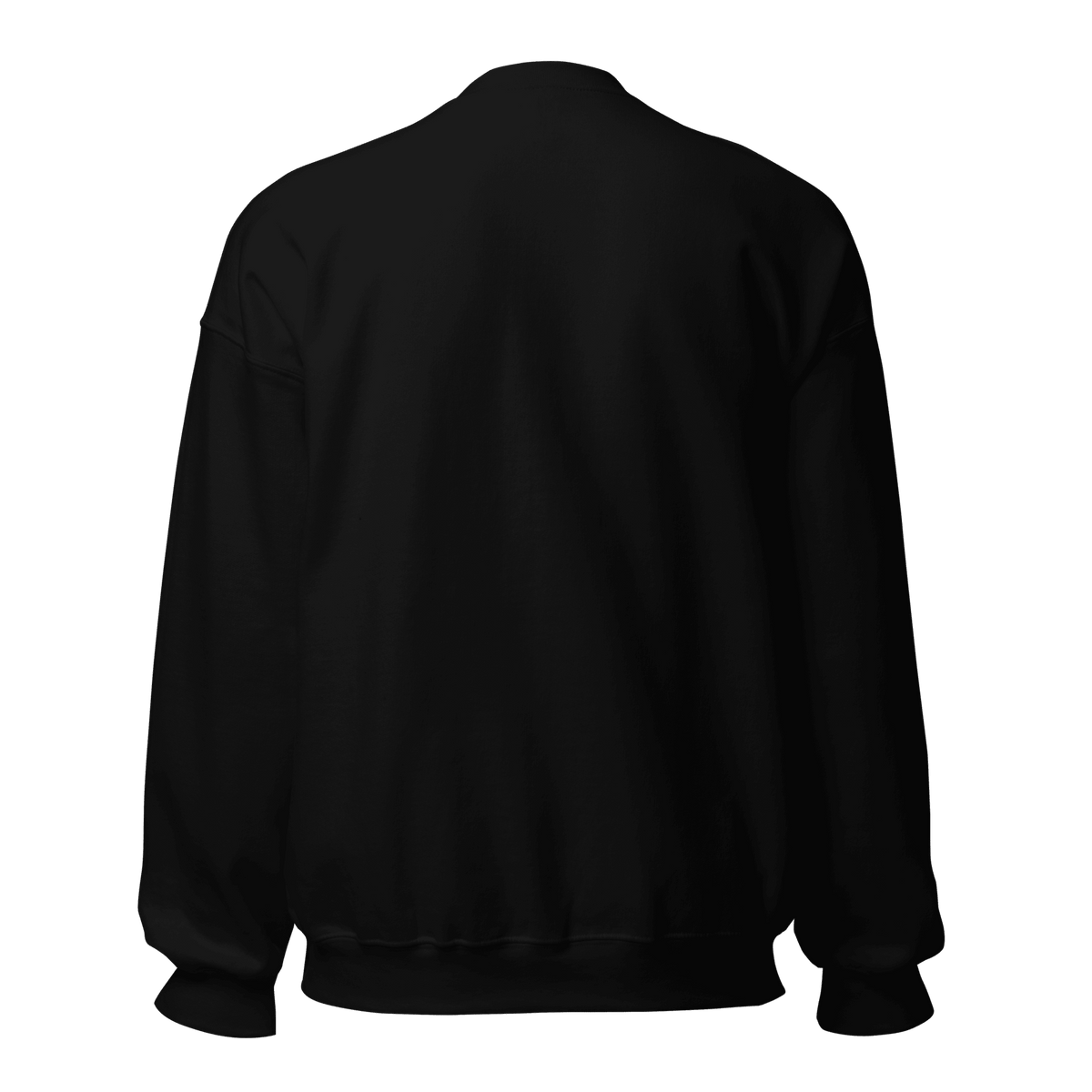 DATU Art Frame Sweatshirt — Black, back view #color_black