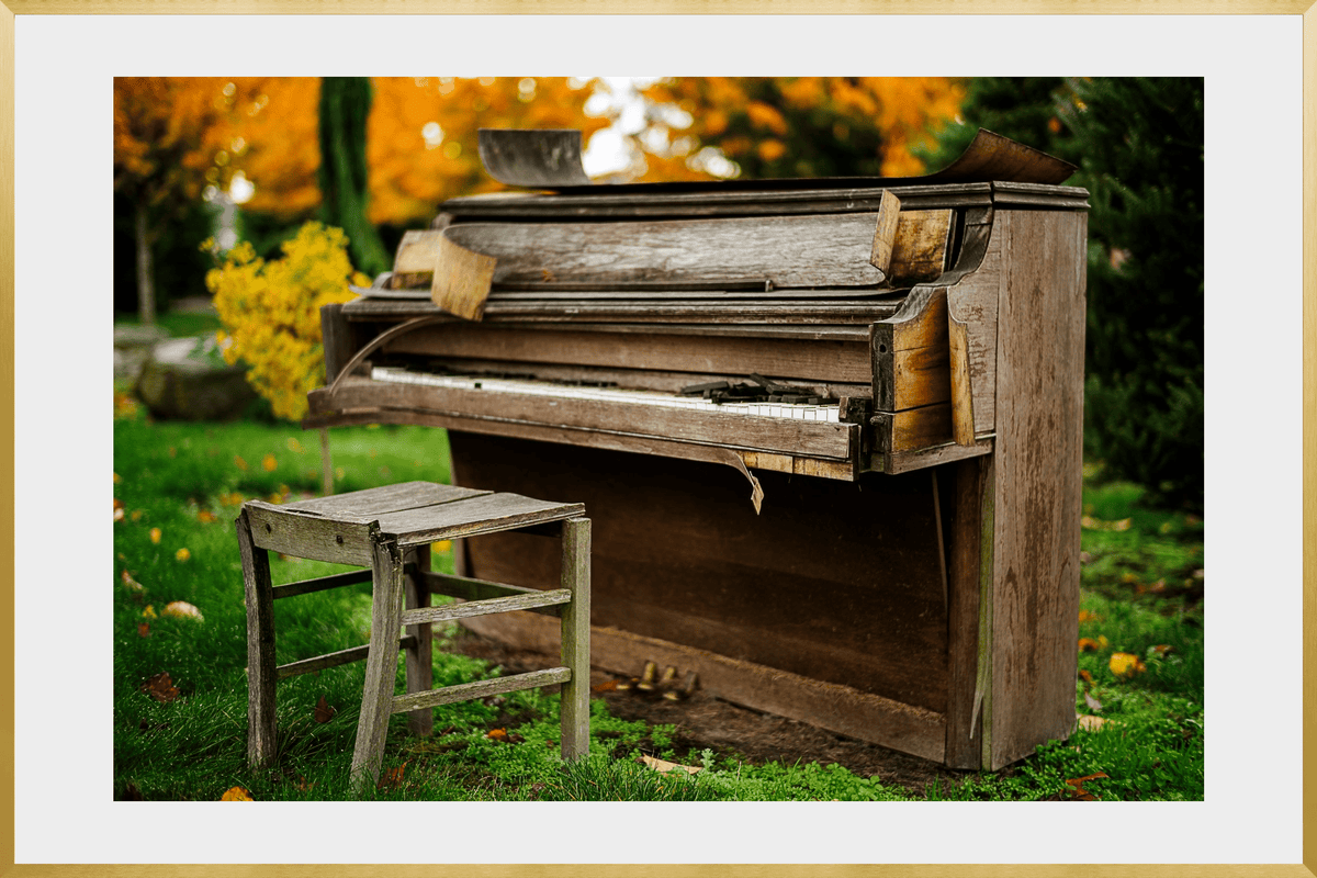 DATU 00_33 photographic print shown in a Gold Premium Metal frame with a white mat.