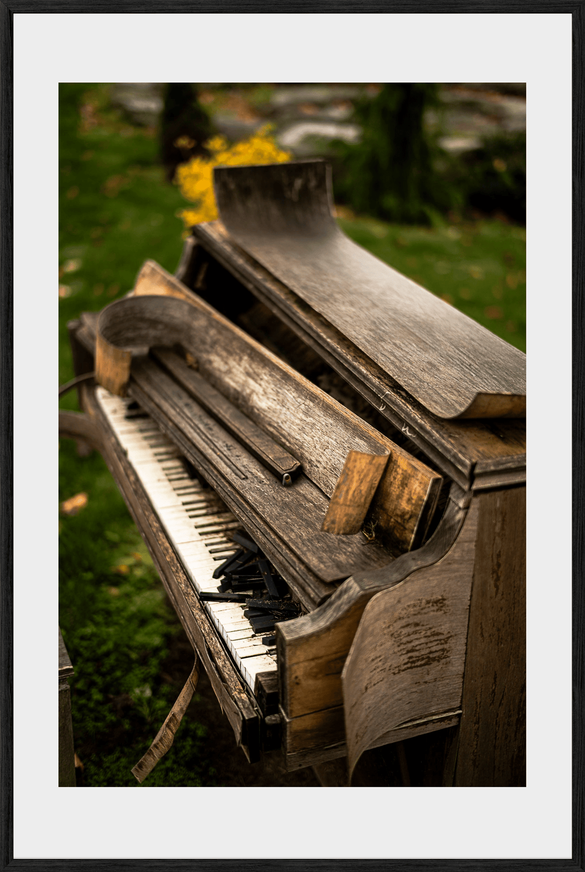 DATU 00_35 photographic print shown in a Black Premium Oak frame with a white mat.