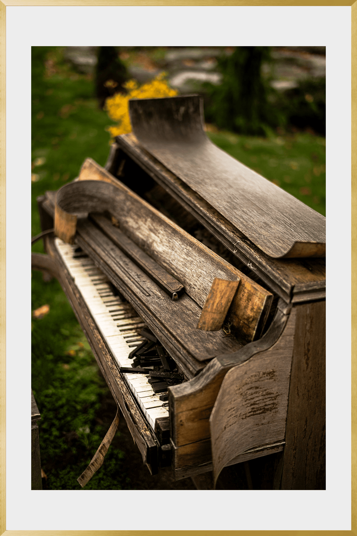 DATU 00_35 photographic print shown in a Gold Premium Metal frame with a white mat.