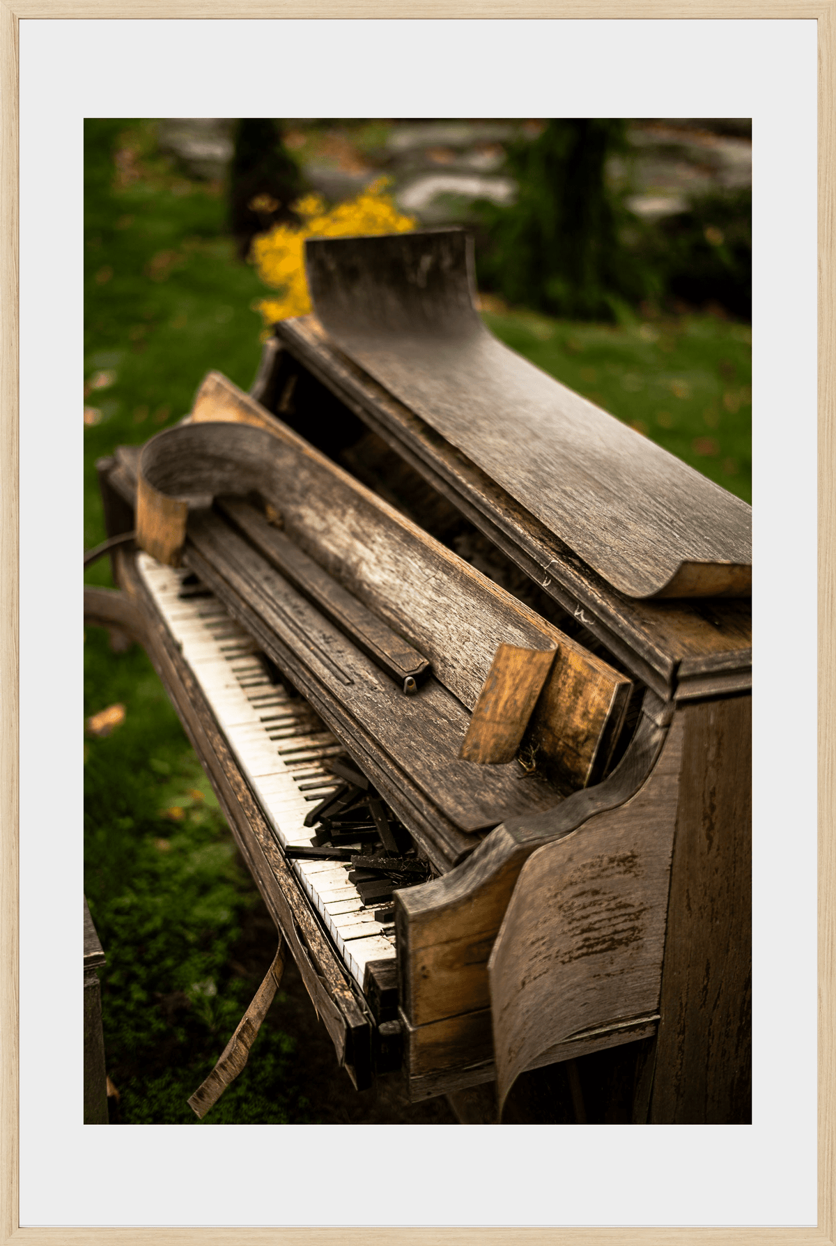 DATU 00_35 photographic print shown in a Natural Premium Oak frame with a white mat.