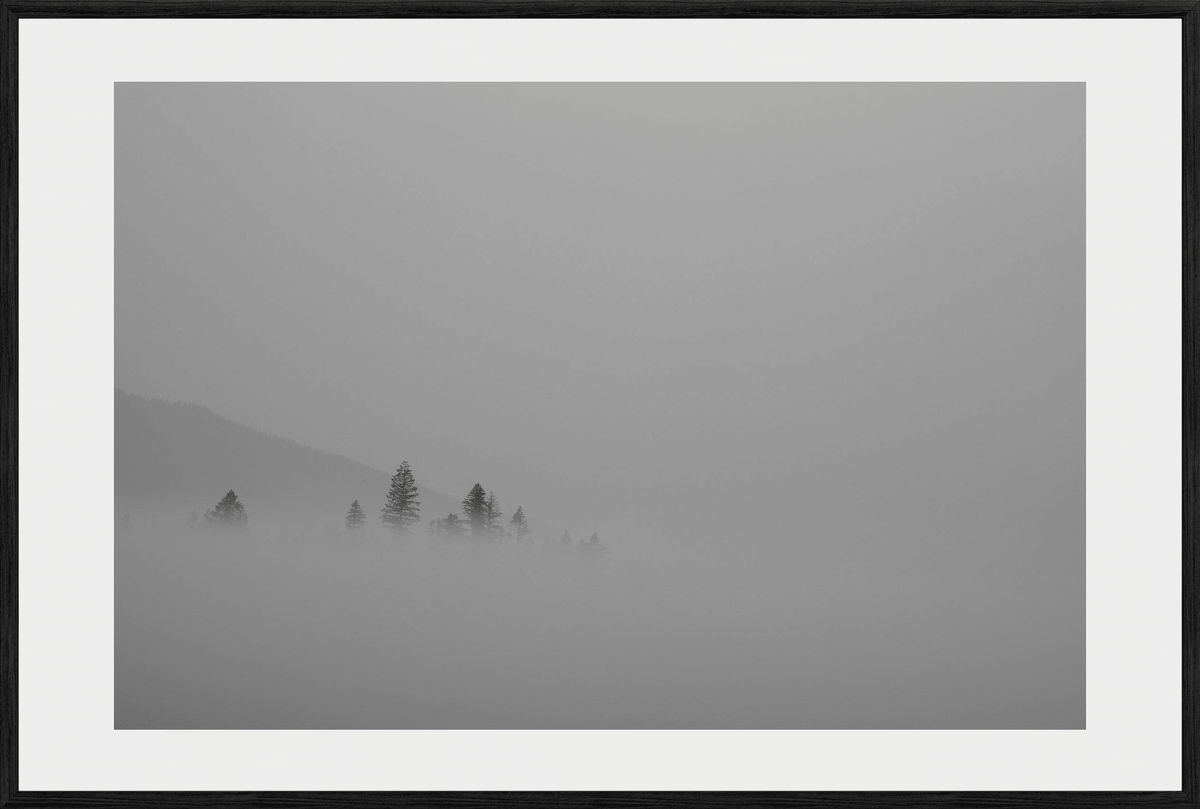 DATU 00_41 photographic print shown in a Black Premium Oak frame with a white mat.