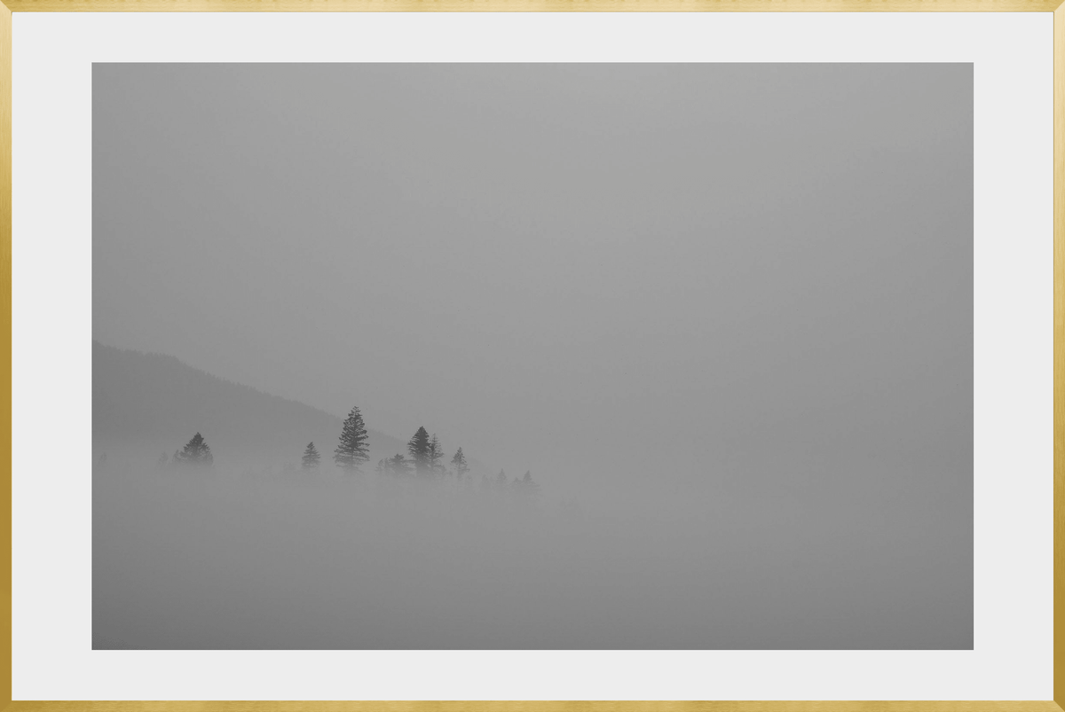 DATU 00_41 photographic print shown in a Gold Premium Metal frame with a white mat.