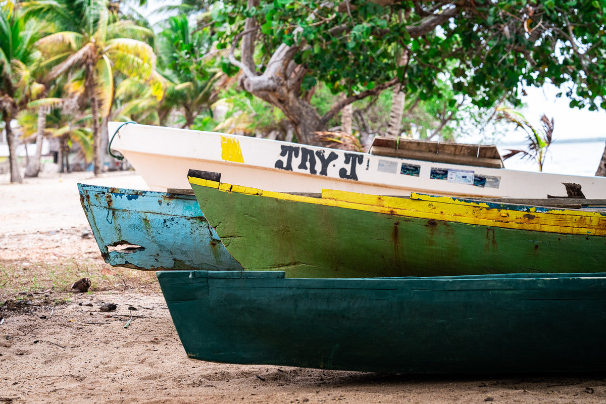 00_17 by Nick Patterson. Colorful boats resting on sand beneath trees, in a horizontal composition.