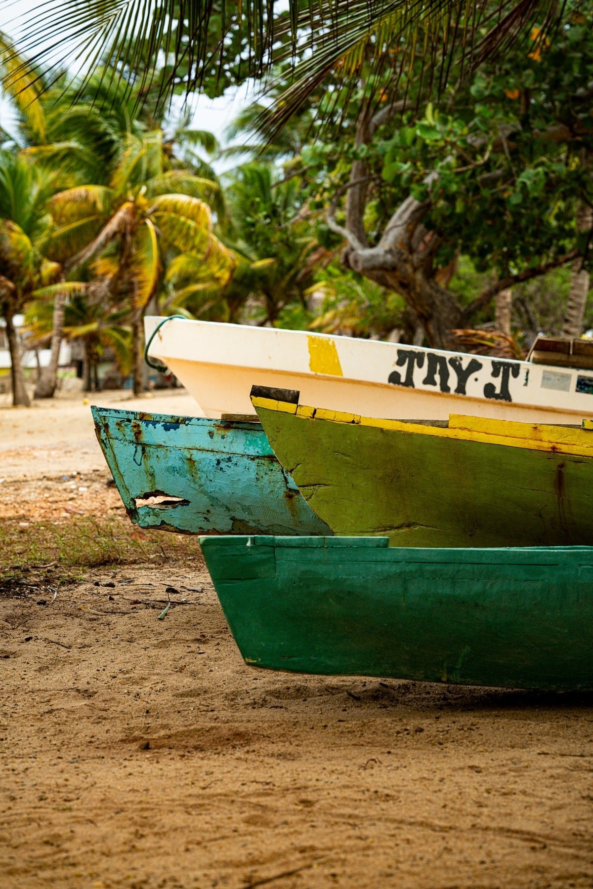 00_14 by Nick Patterson. Colorful boats resting on sand beneath palm trees, in a vertical composition.