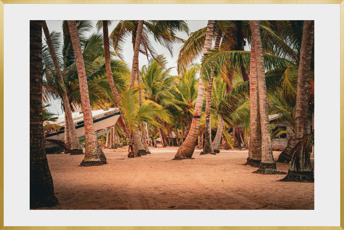 DATU 00_13 photographic print shown in a Gold Premium Metal frame with a white mat.