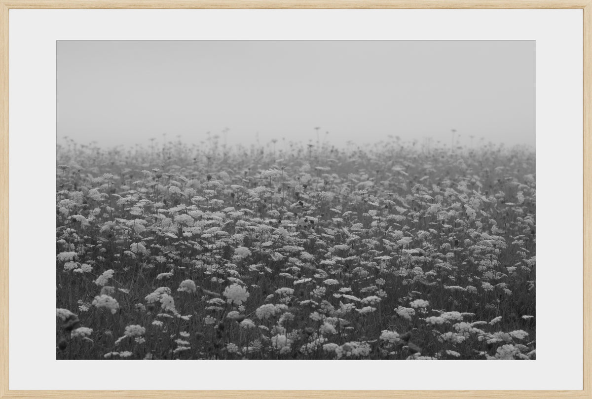 DATU 00_15 photographic print shown in a Natural Premium Oak frame with a white mat.