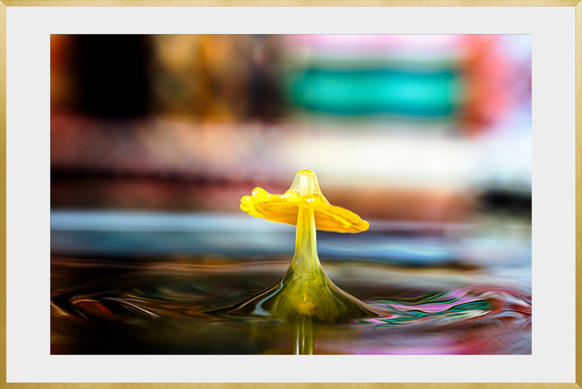 DATU 00_16 photographic print shown in a Gold Premium Metal frame with a white mat.