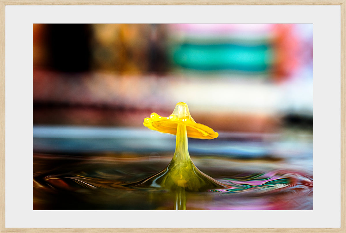 DATU 00_16 photographic print shown in a Natural Premium Oak frame with a white mat.